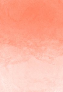 春眠不覺曉/小郎君又吃悶醋了